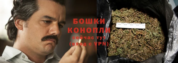 спайс Вяземский