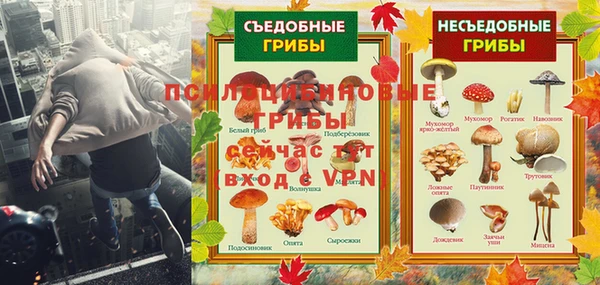 стафф Вязники