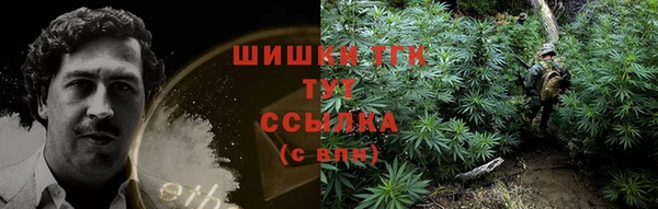 спайс Вяземский
