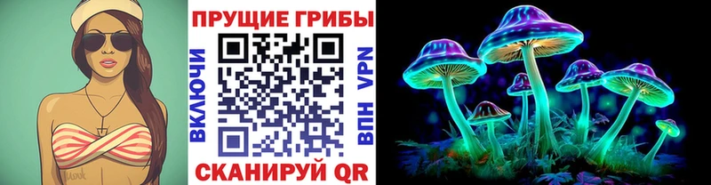 Псилоцибиновые грибы мицелий Петров Вал
